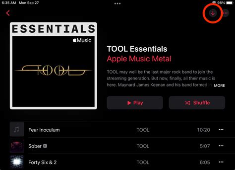 how to download music to ipad and why does this process matter for your favorite artists?