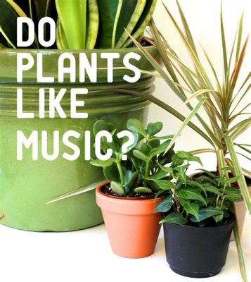 What Music Helps Plants Grow: An Examination of the Hypothetical Correlation